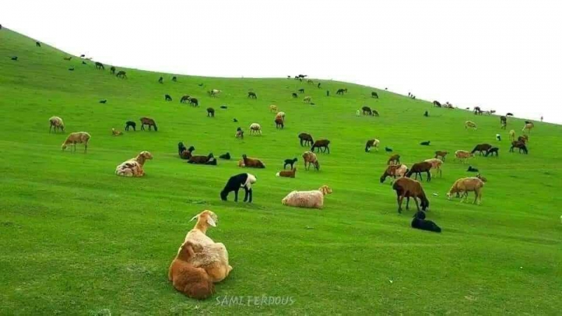 فخار - تخار - افغانستان 